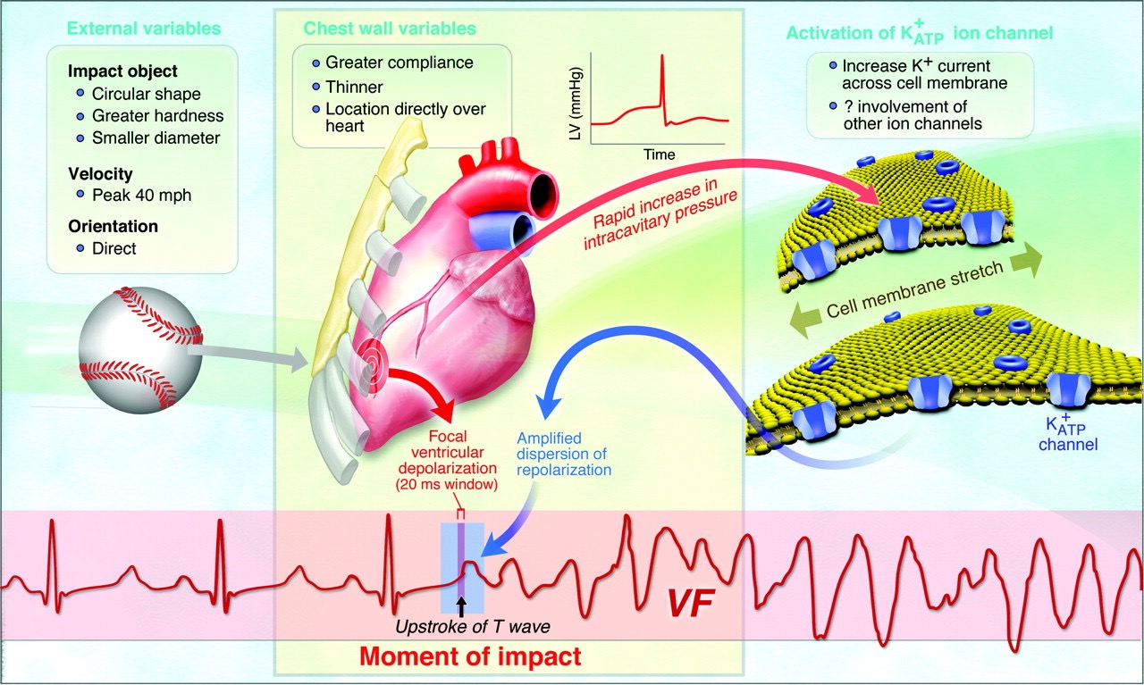 AHA Journal