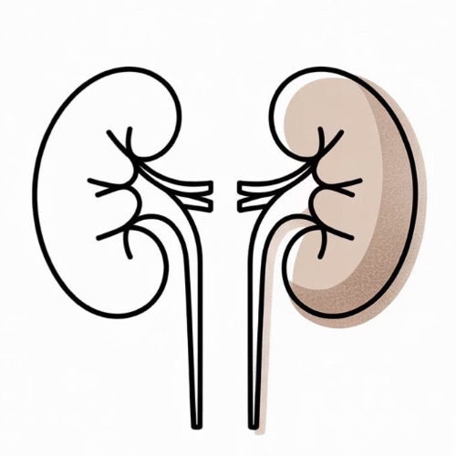 CONFIDENCE Trial: Combination Therapy for Diabetic Kidney Disease